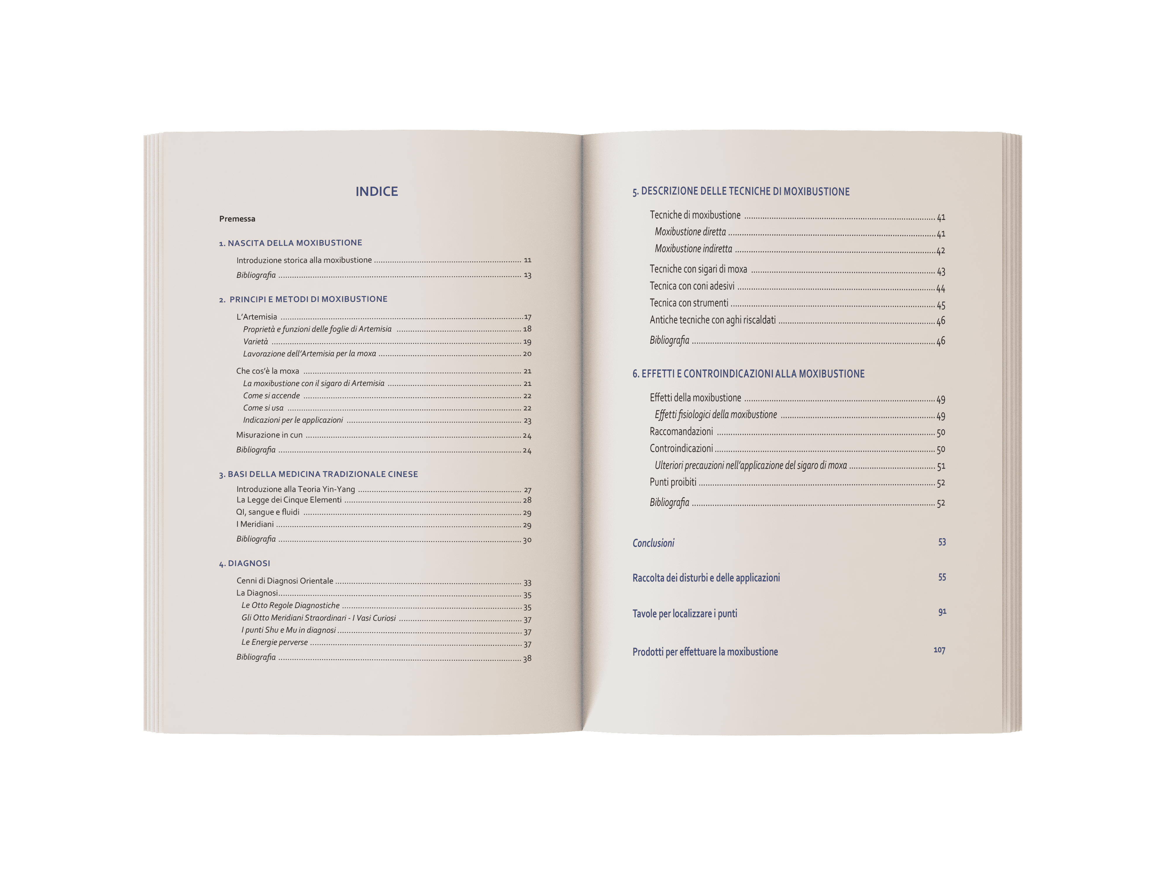 Libro Moxibustione (1)
