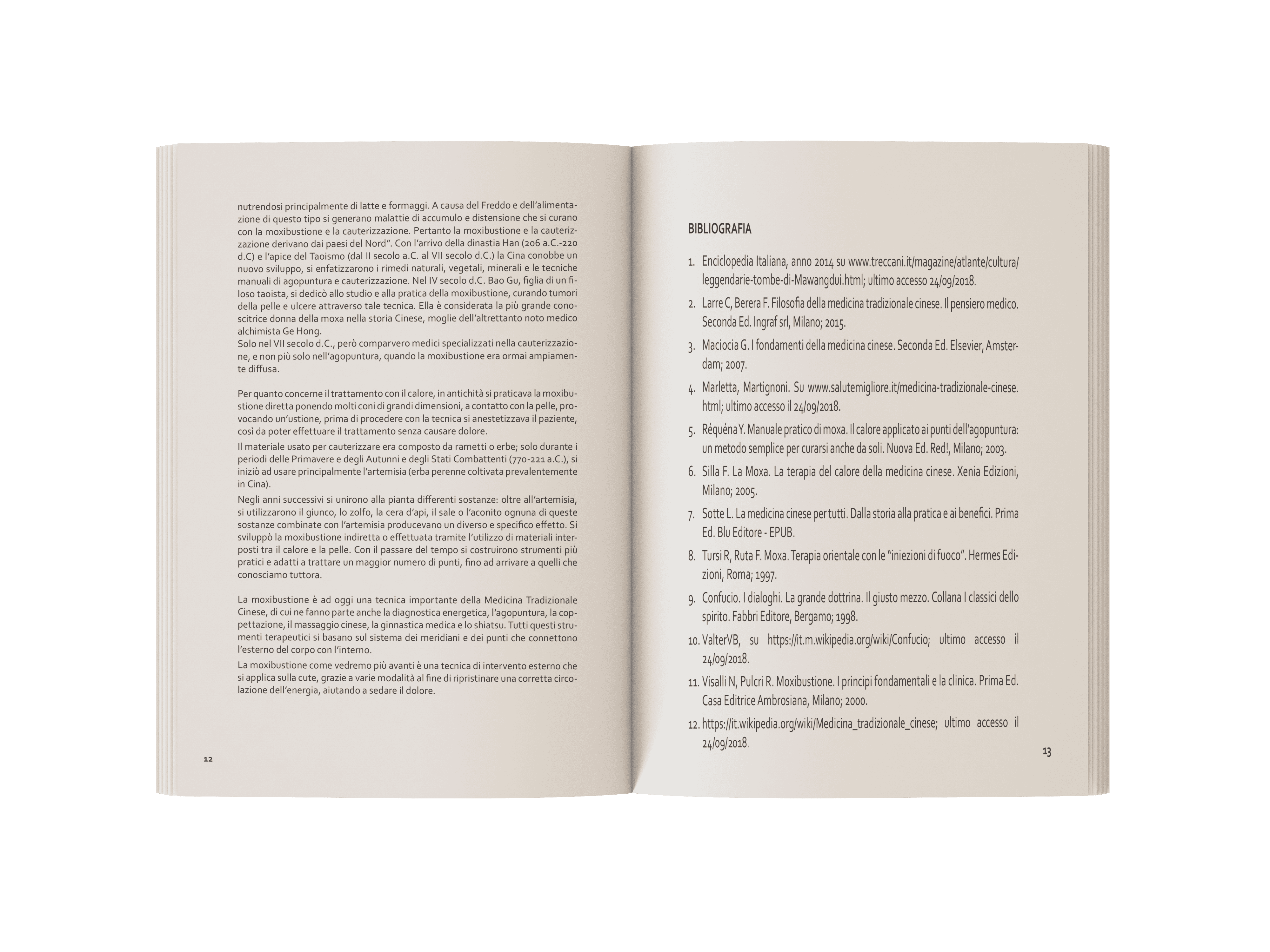 Libro Moxibustione (2)