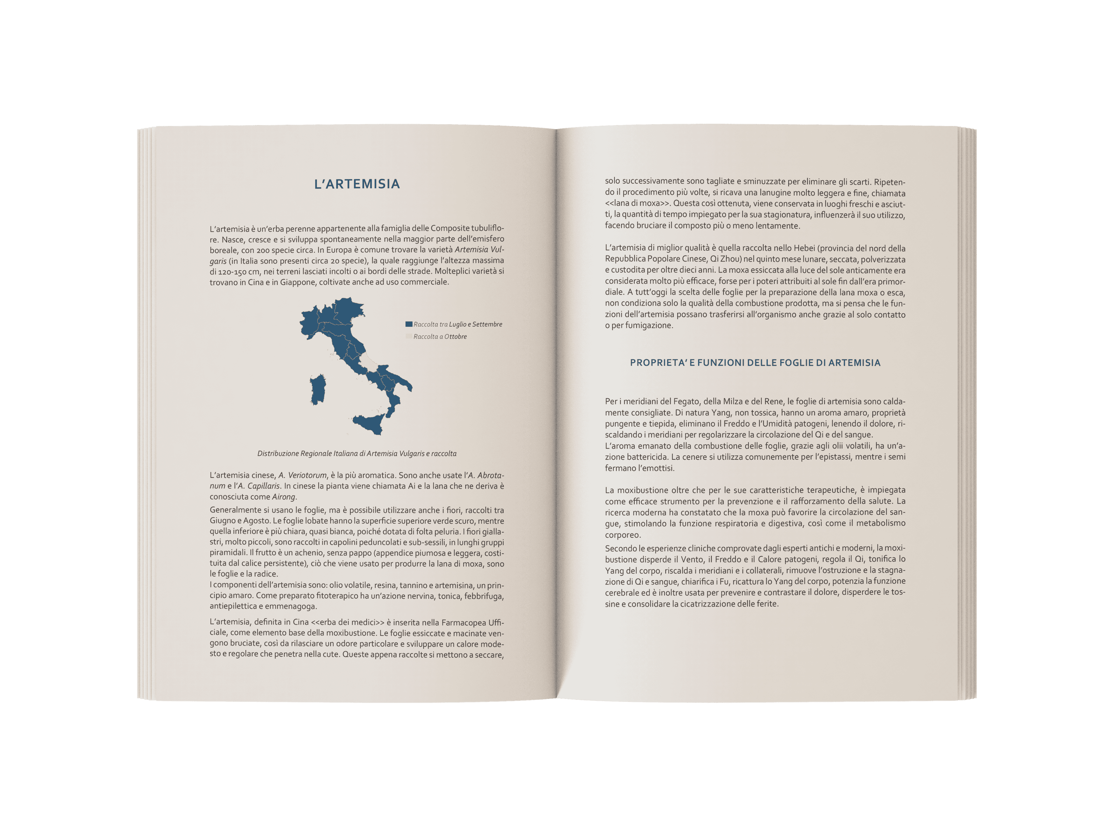 Libro Moxibustione (3)
