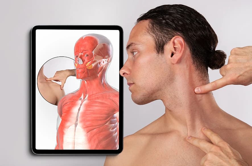 Formazione-Anatomia-Palpatoria-ATS