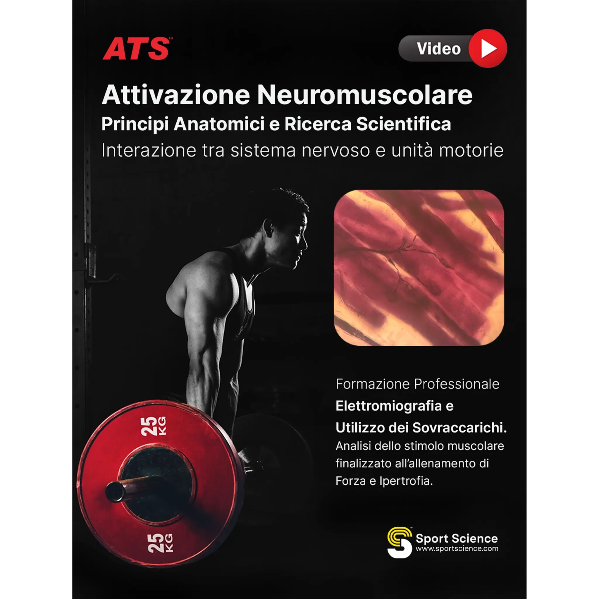 Video Corso EMG sovraccarichi
