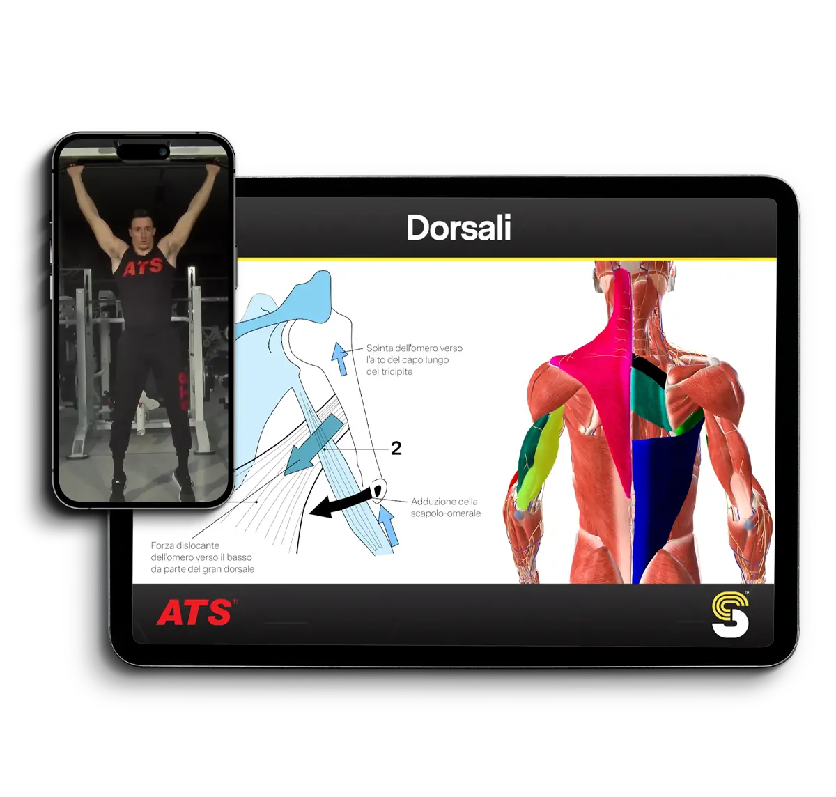 Video Formazione Istruttore Sala Pesi
