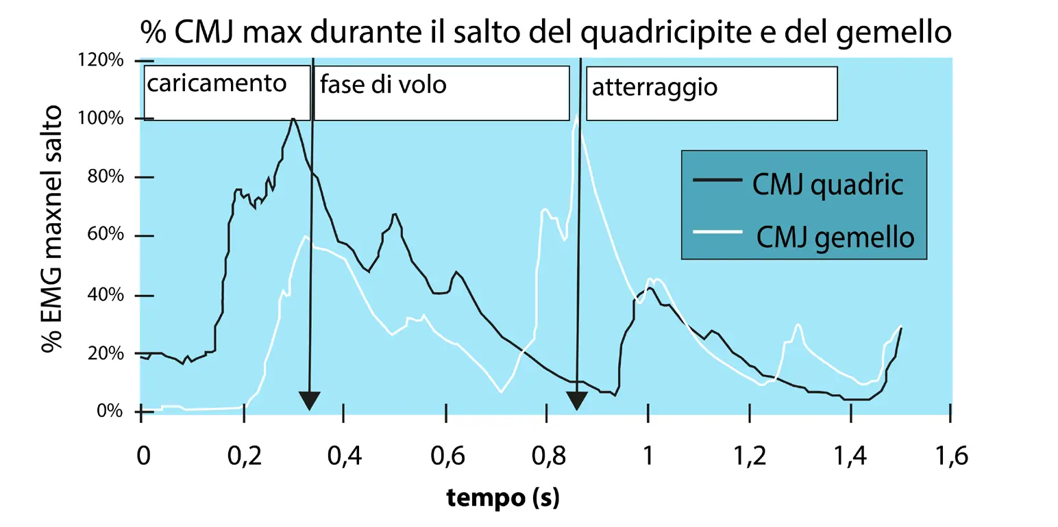 Analisi elettromiografica del muscolo quadricipite e gemello durante un’azione di salto massimale