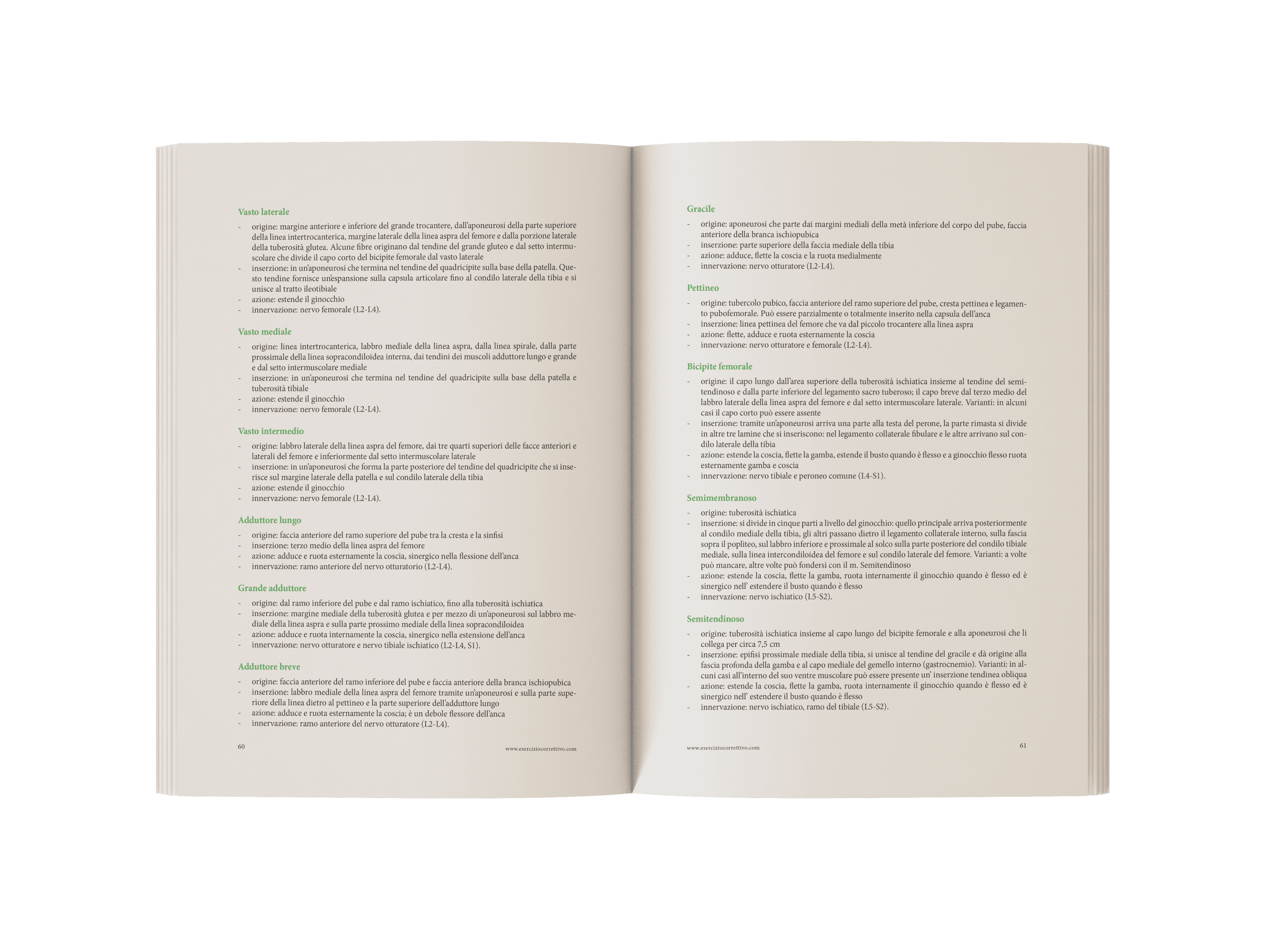 LIbro Esercizio Correttivo Anteprima (1)