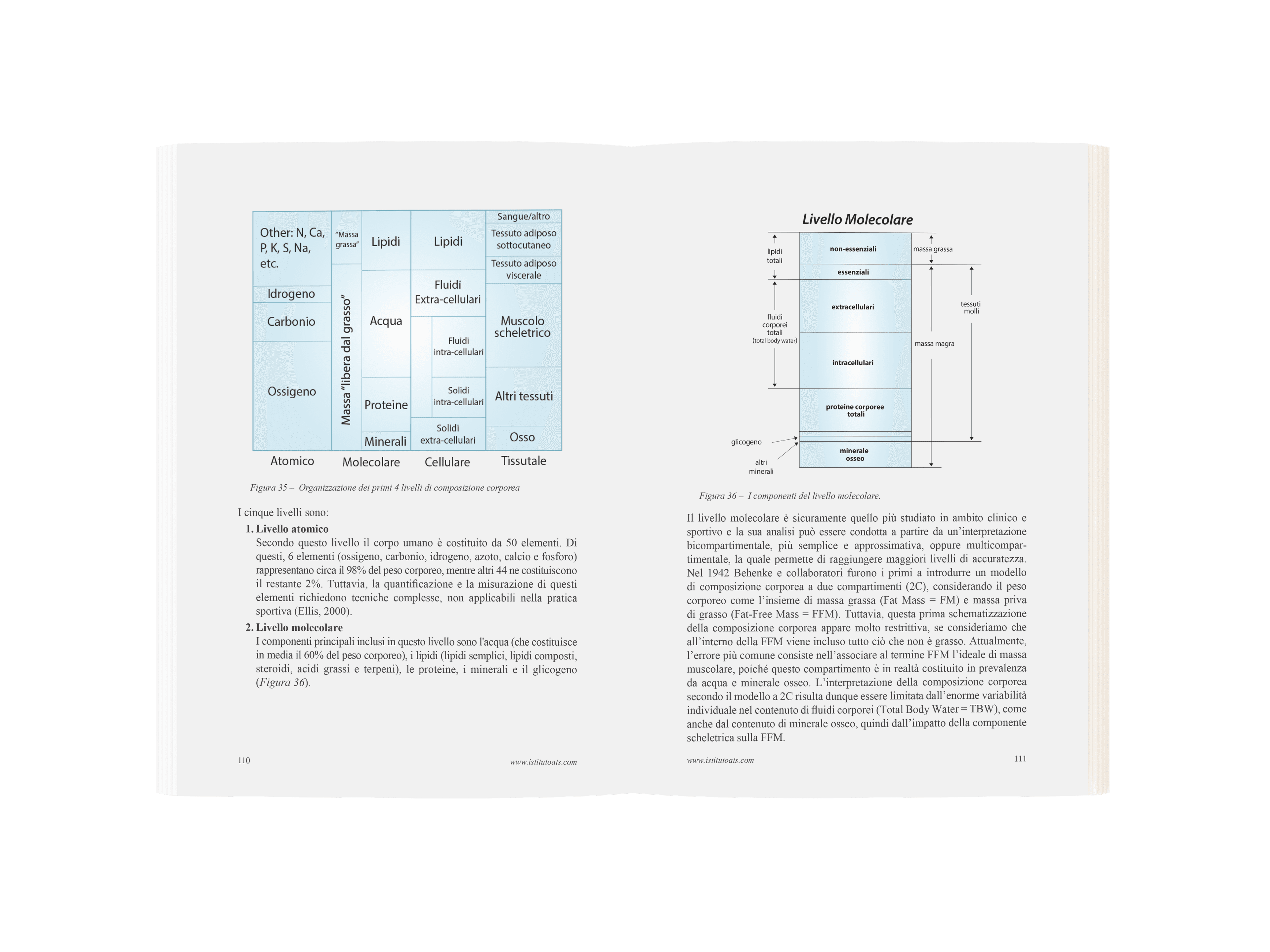 Libro Valutazione Antropometrica pag 110-111