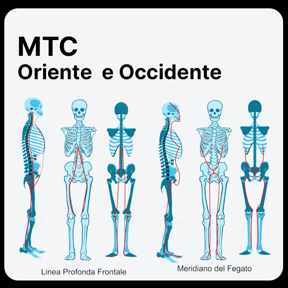 Meridiani-meyers-video-corso-Coppettazione