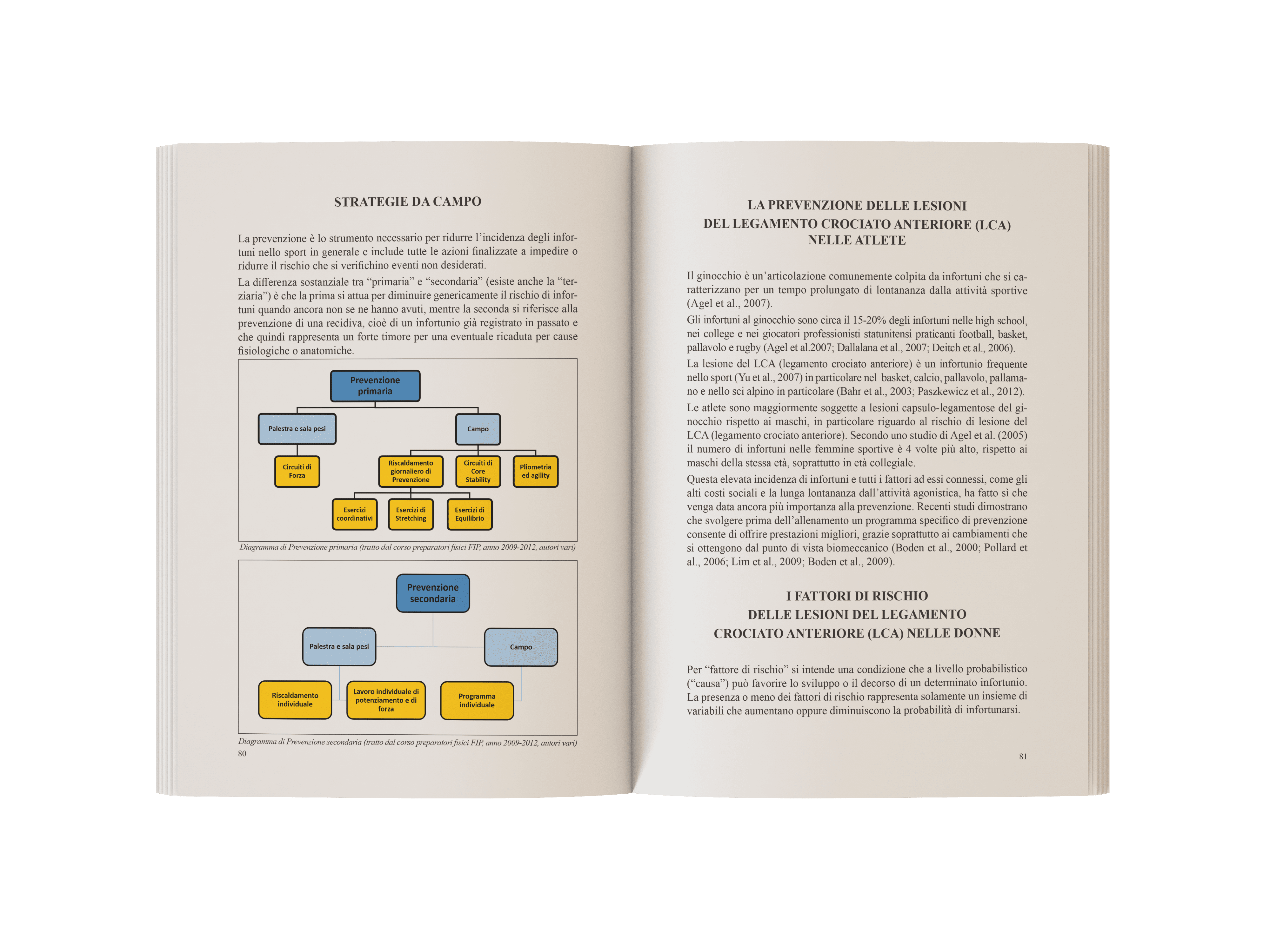 Preparazione Fisica nella pallacanestro femminile (3)