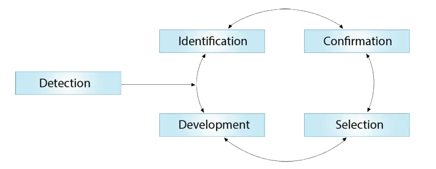 Punti chiave identificazione del talento