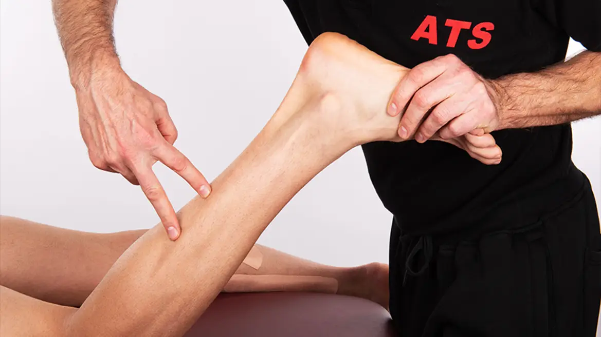 Anatomia palpatoria corso di formazione