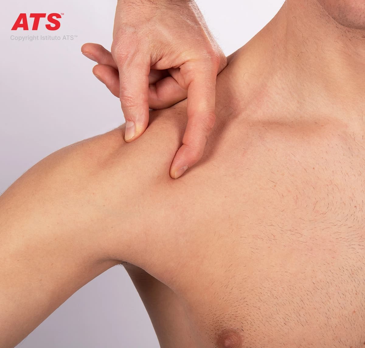 Corso-Anatomia-Palpatoria-Arto-Superiore-ATS