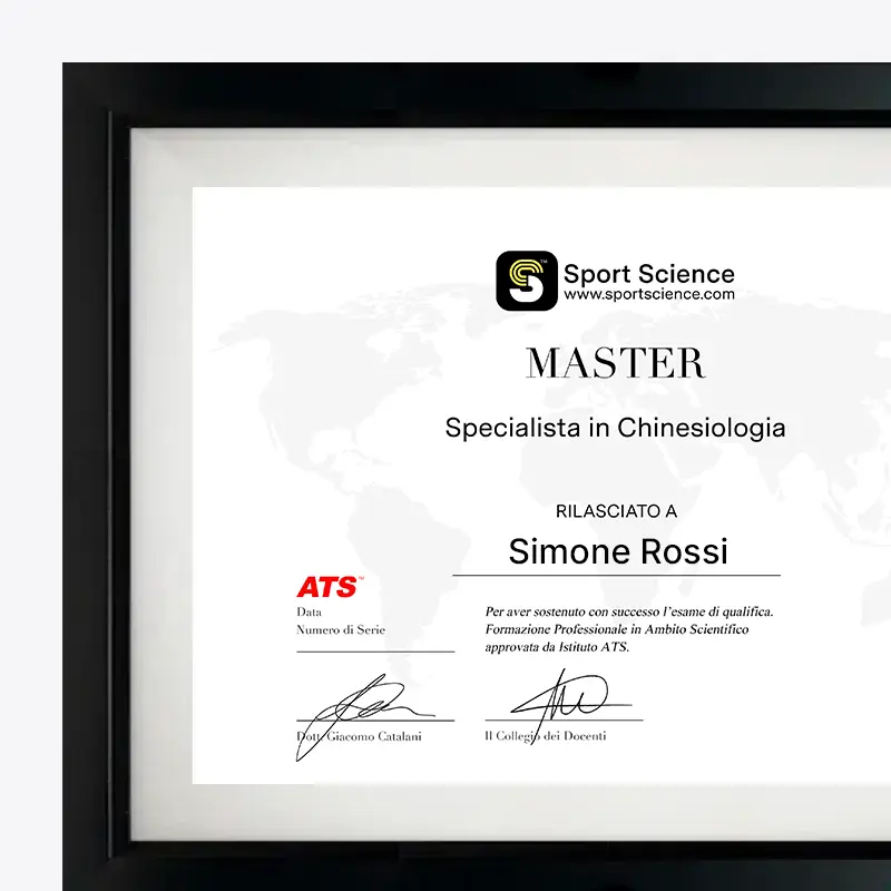 Diploma Master Chinesiologia