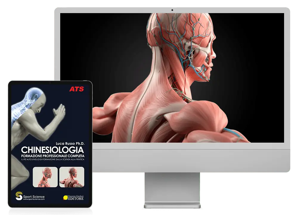 Formazione Professionale Chinesiologia