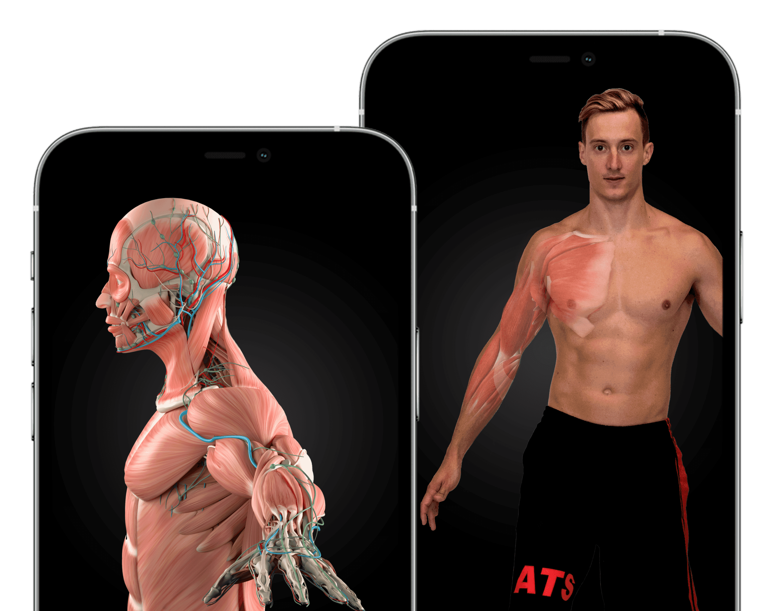 Livello-di-Competenza-Chinesiologia