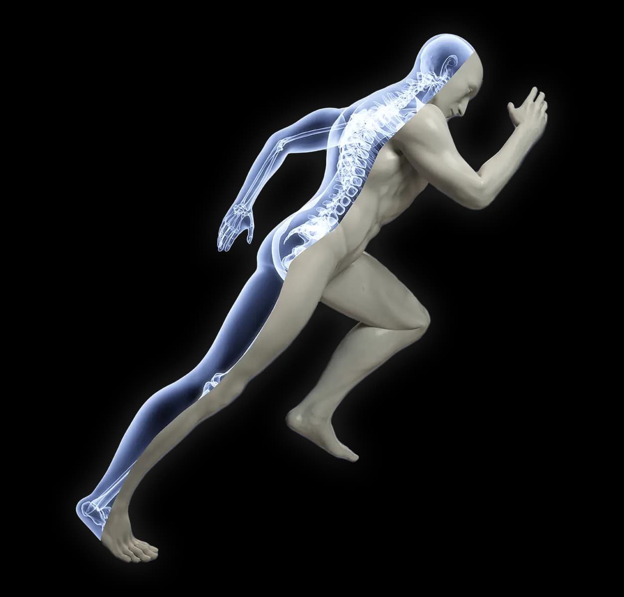 chinesiologia master logo