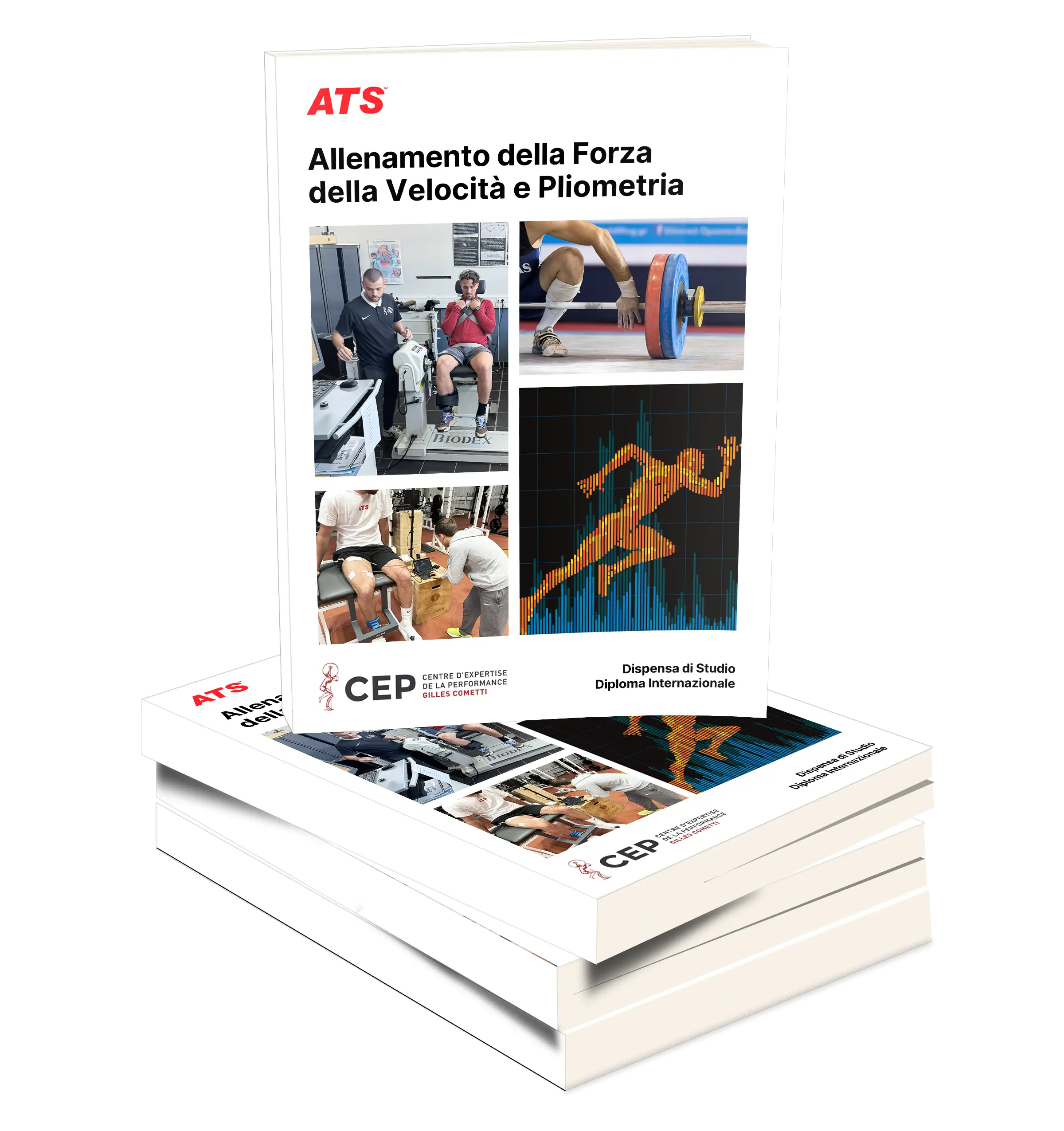 Dispensa di Allenamento della Forza, della Velocità e Pliometria