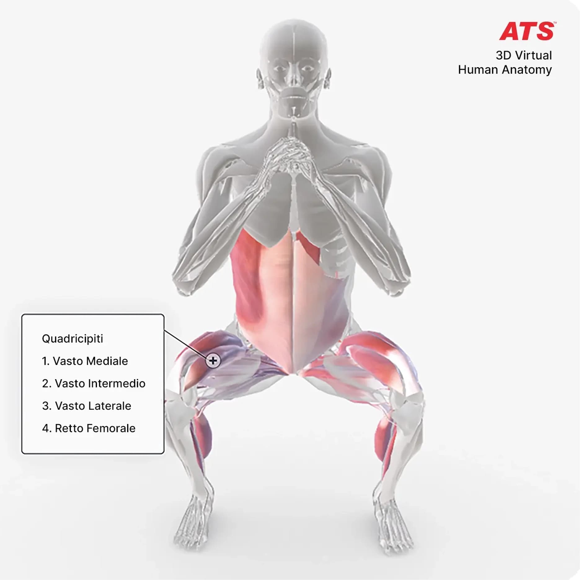 Corso-Sovraccarichi-Elettromiografia-ATS