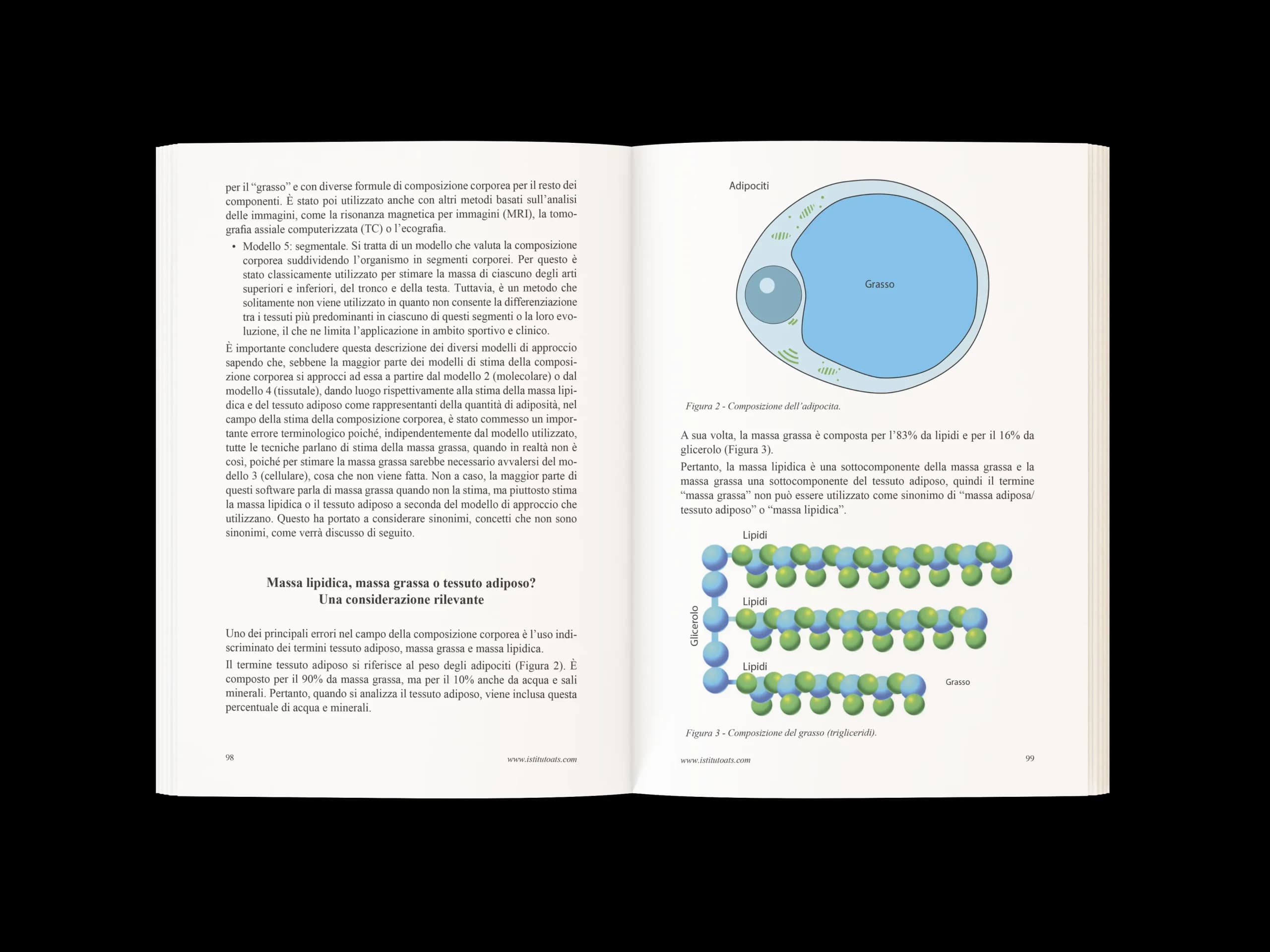 Libro antropometria interno 1.1