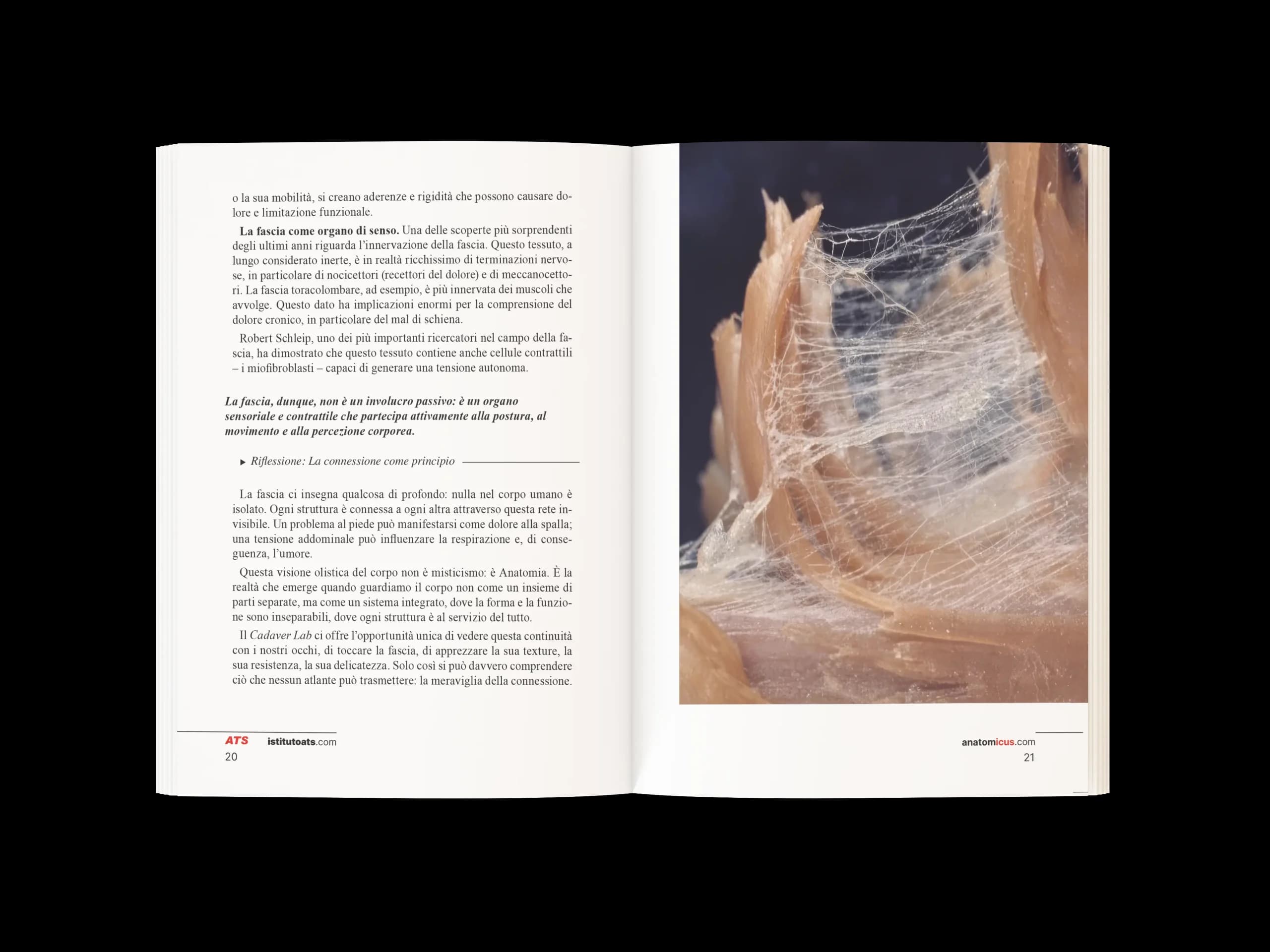 Dalla Pelle al Cuore anteprima 3